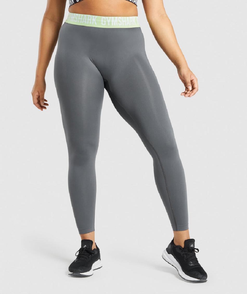 Gymshark Fit Seamless Ženske Tajice Sive | HR 3977SGL